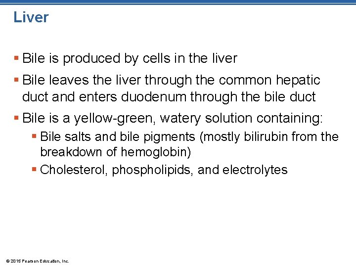 Liver § Bile is produced by cells in the liver § Bile leaves the