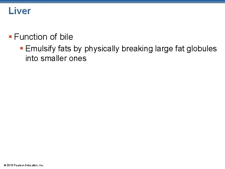 Liver § Function of bile § Emulsify fats by physically breaking large fat globules