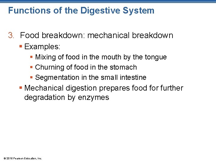 Functions of the Digestive System 3. Food breakdown: mechanical breakdown § Examples: § Mixing