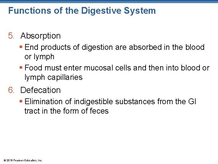 Functions of the Digestive System 5. Absorption § End products of digestion are absorbed