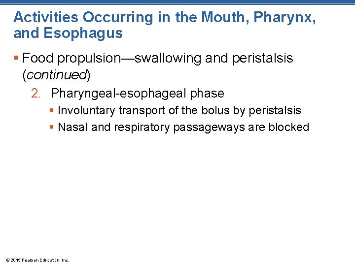 Activities Occurring in the Mouth, Pharynx, and Esophagus § Food propulsion—swallowing and peristalsis (continued)