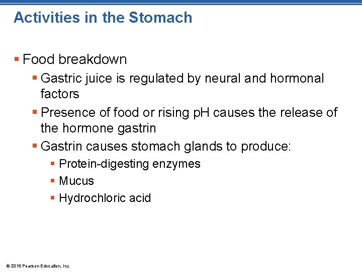 Activities in the Stomach § Food breakdown § Gastric juice is regulated by neural