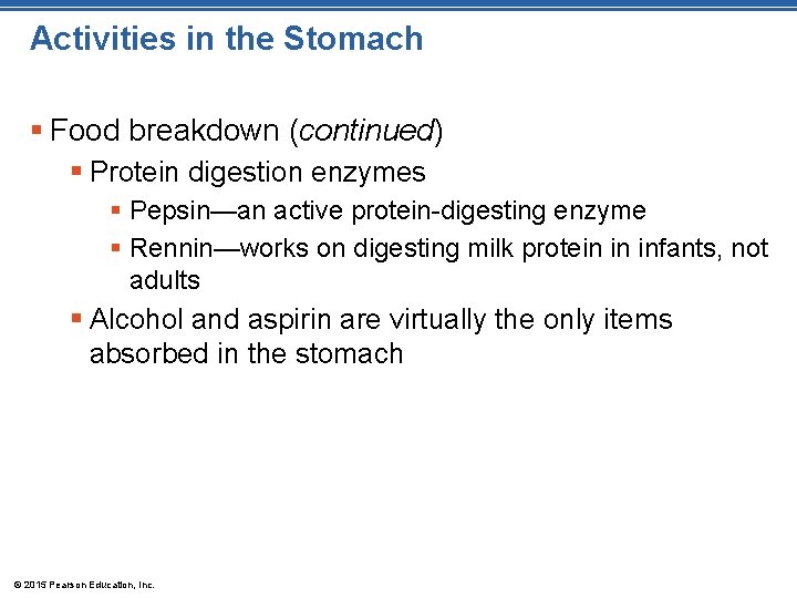 Activities in the Stomach § Food breakdown (continued) § Protein digestion enzymes § Pepsin—an