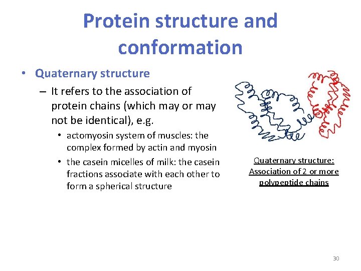 Protein structure and conformation • Quaternary structure – It refers to the association of