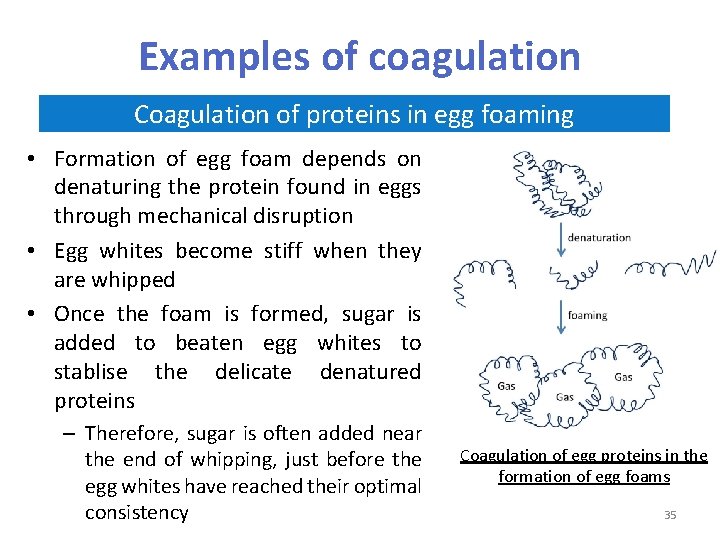 Examples of coagulation Coagulation of proteins in egg foaming • Formation of egg foam