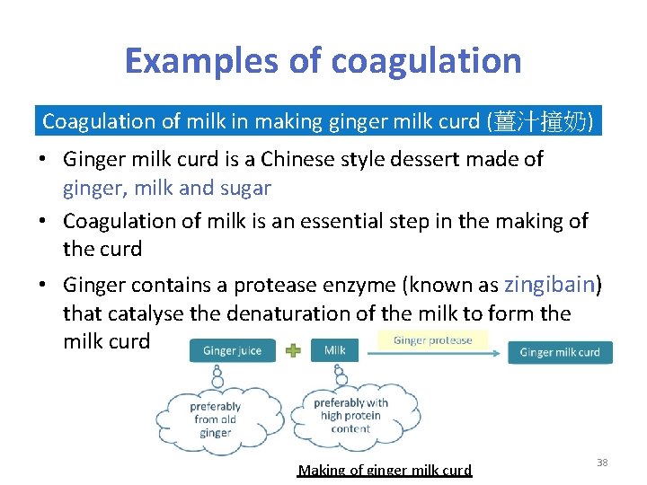 Examples of coagulation Coagulation of milk in making ginger milk curd (薑汁撞奶) • Ginger