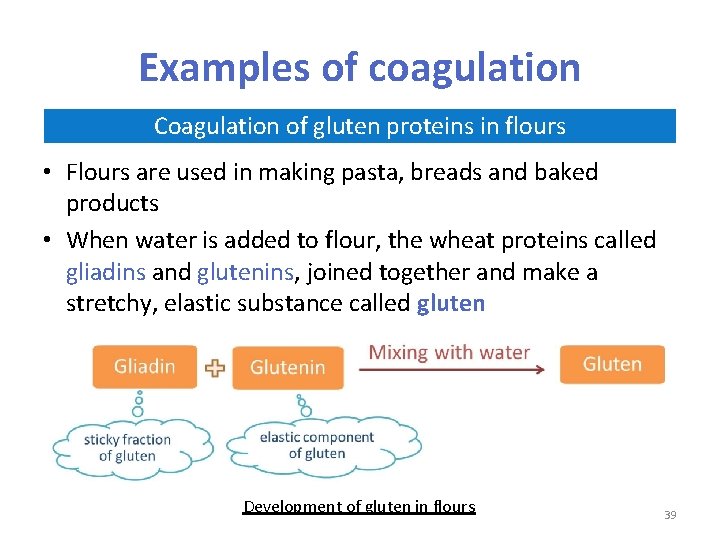 Examples of coagulation Coagulation of gluten proteins in flours • Flours are used in