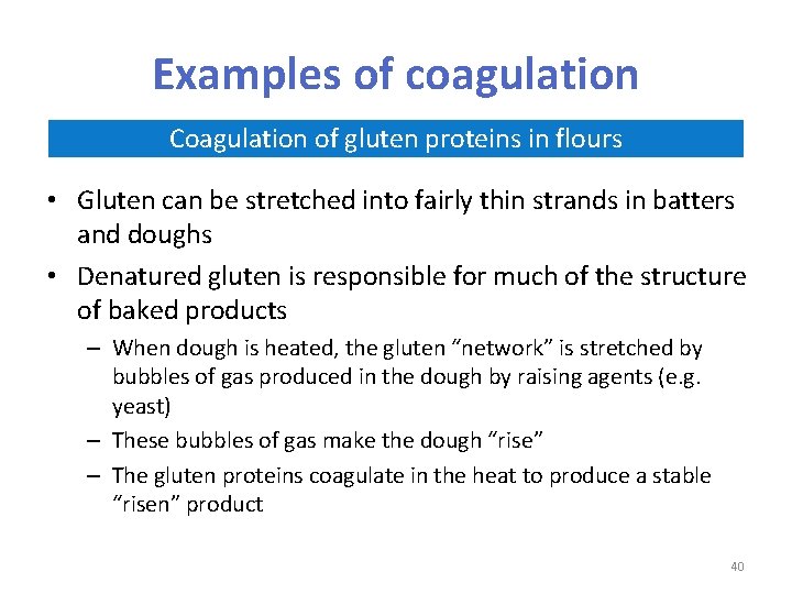 Examples of coagulation Coagulation of gluten proteins in flours • Gluten can be stretched