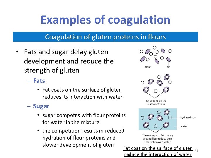 Examples of coagulation Coagulation of gluten proteins in flours • Fats and sugar delay