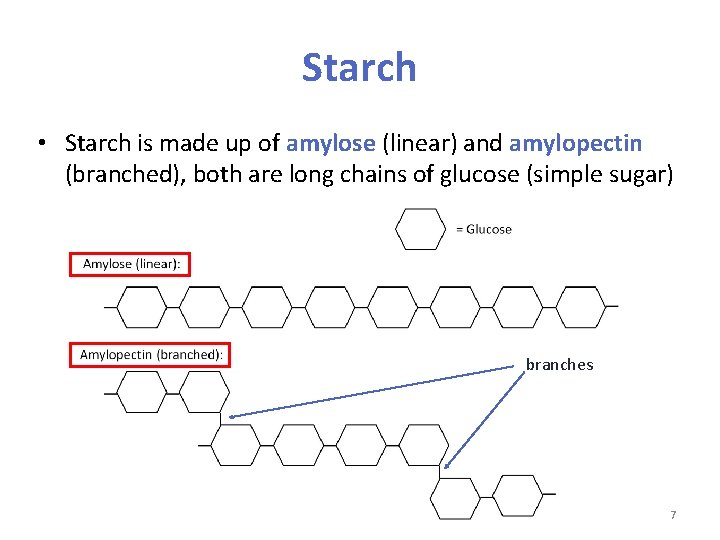 Starch • Starch is made up of amylose (linear) and amylopectin (branched), both are