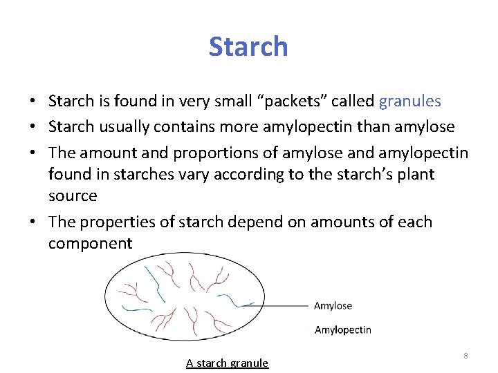 Starch • Starch is found in very small “packets” called granules • Starch usually