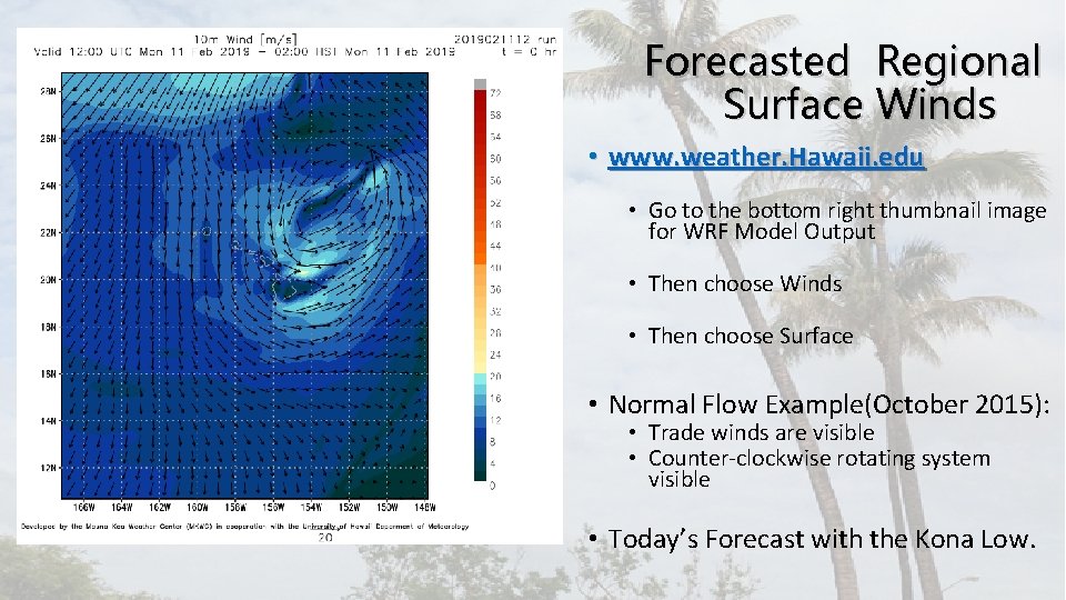 Forecasted Regional Surface Winds • www. weather. Hawaii. edu • Go to the bottom