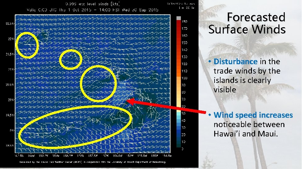 Forecasted Surface Winds • Disturbance in the trade winds by the islands is clearly