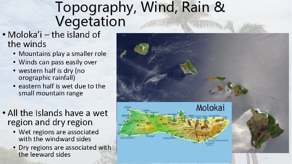 Topography, Wind, Rain & Vegetation • Moloka’i – the island of the winds •