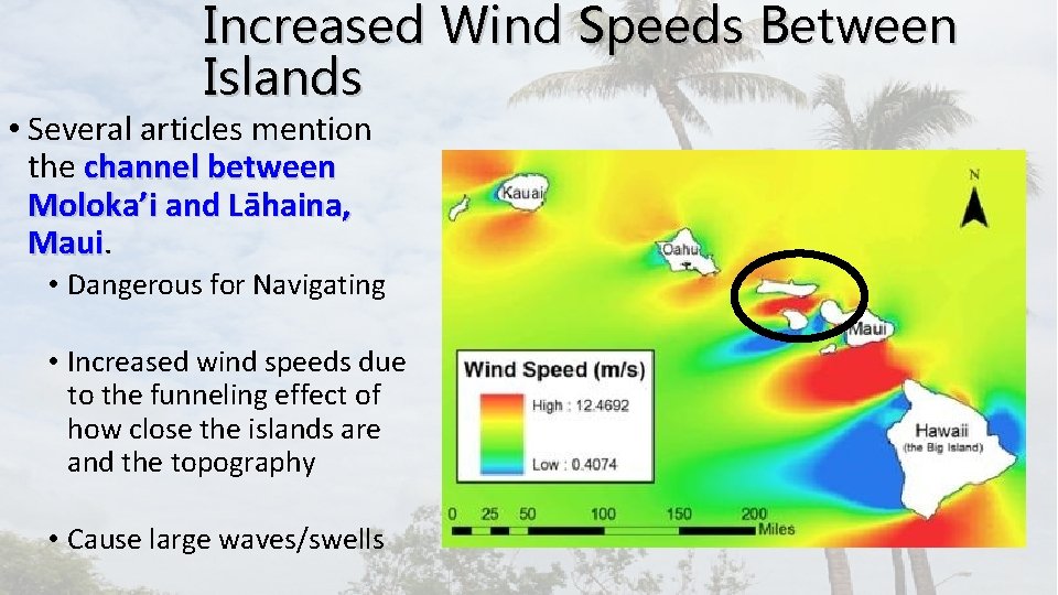 Increased Wind Speeds Between Islands • Several articles mention the channel between Moloka’i and