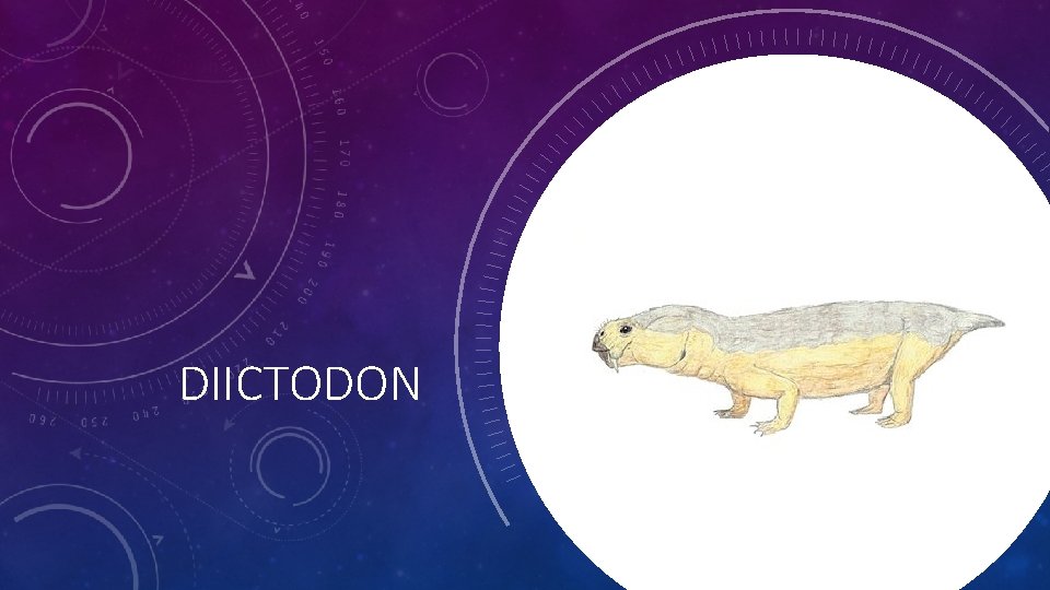 DIICTODON 