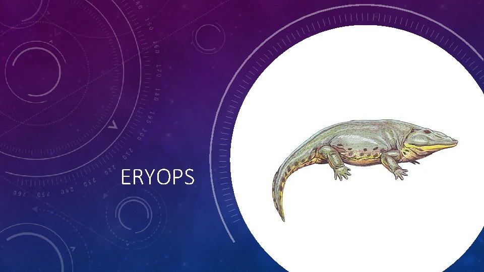 ERYOPS 