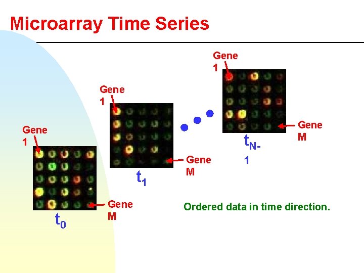 Microarray Time Series Gene 1 t. Nt 1 t 0 Gene M 1 Ordered