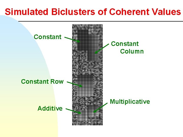 Simulated Biclusters of Coherent Values Constant Column Constant Row Additive Multiplicative 