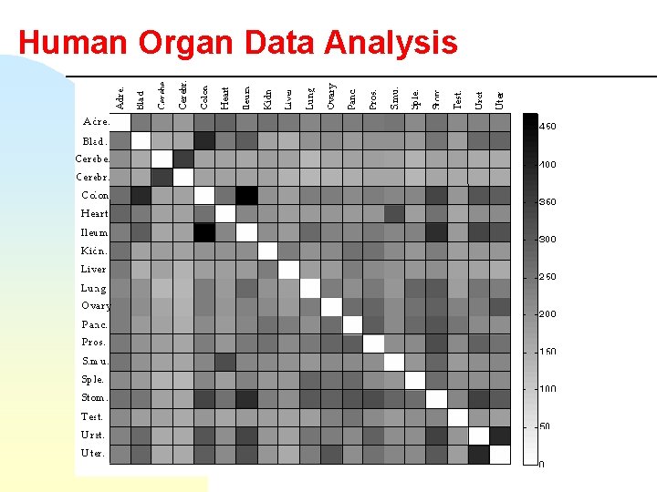 Human Organ Data Analysis 