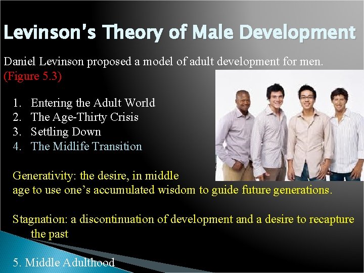 Levinson’s Theory of Male Development Daniel Levinson proposed a model of adult development for
