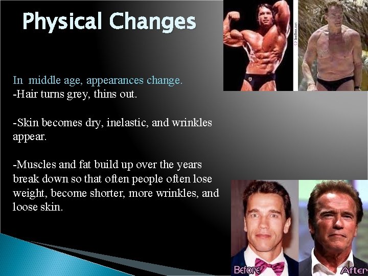 Physical Changes In middle age, appearances change. -Hair turns grey, thins out. -Skin becomes