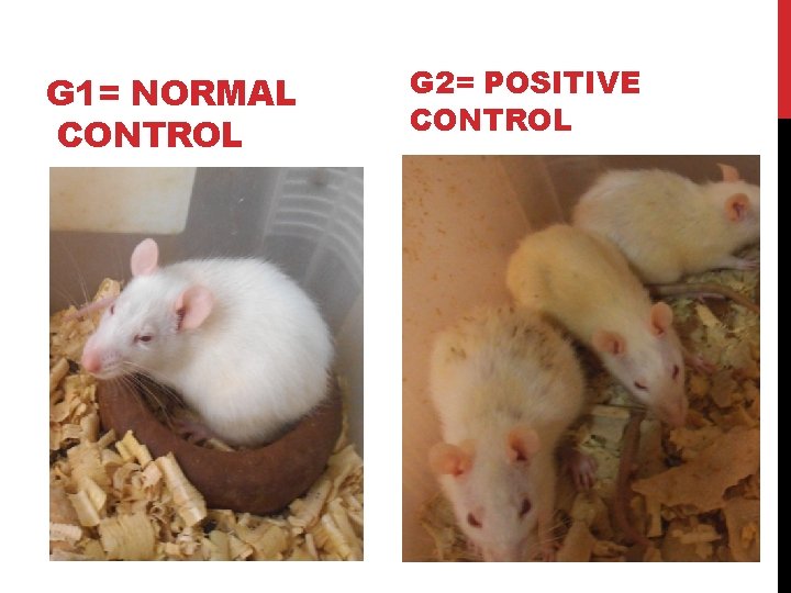 G 1= NORMAL CONTROL G 2= POSITIVE CONTROL 