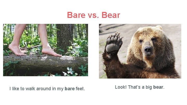 Bare vs. Bear I like to walk around in my bare feet. Look! That’s