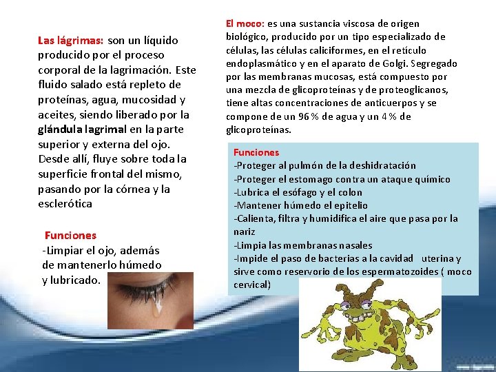 Las lágrimas: son un líquido producido por el proceso corporal de la lagrimación. Este