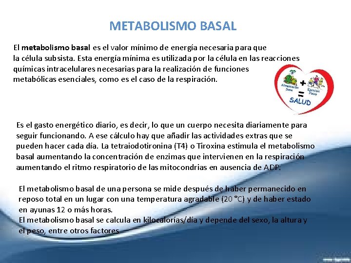 METABOLISMO BASAL El metabolismo basal es el valor mínimo de energía necesaria para que