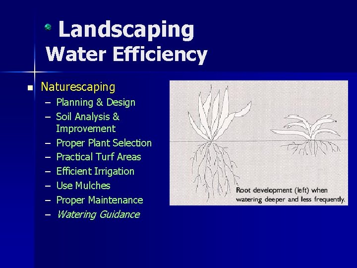 Landscaping Water Efficiency n Naturescaping – Planning & Design – Soil Analysis & Improvement