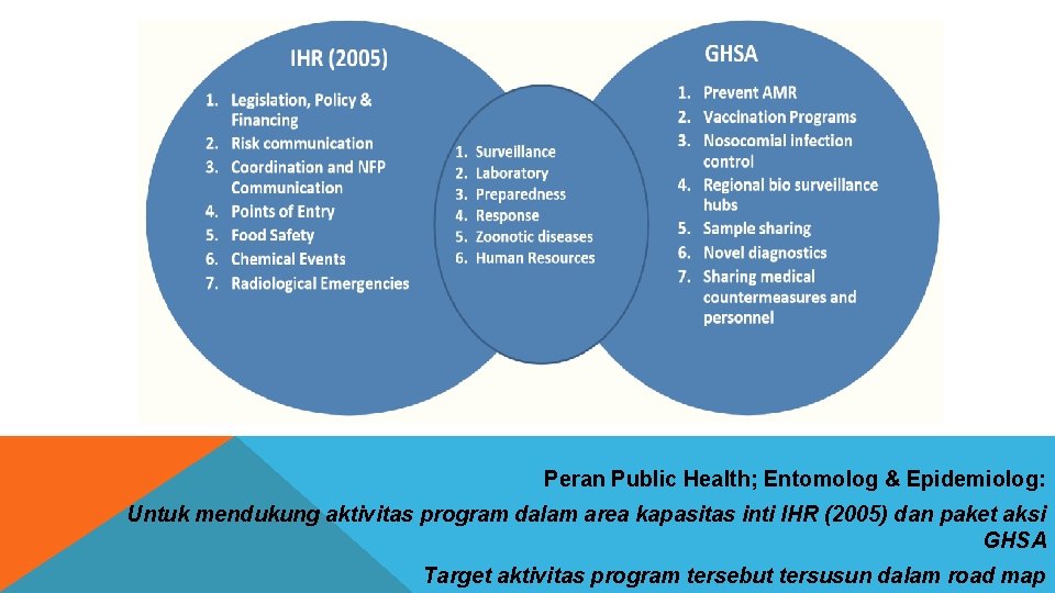 Peran Public Health; Entomolog & Epidemiolog: Untuk mendukung aktivitas program dalam area kapasitas inti