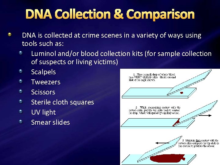 DNA Collection & Comparison DNA is collected at crime scenes in a variety of