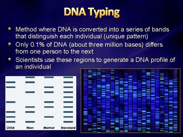 DNA Typing Method where DNA is converted into a series of bands that distinguish