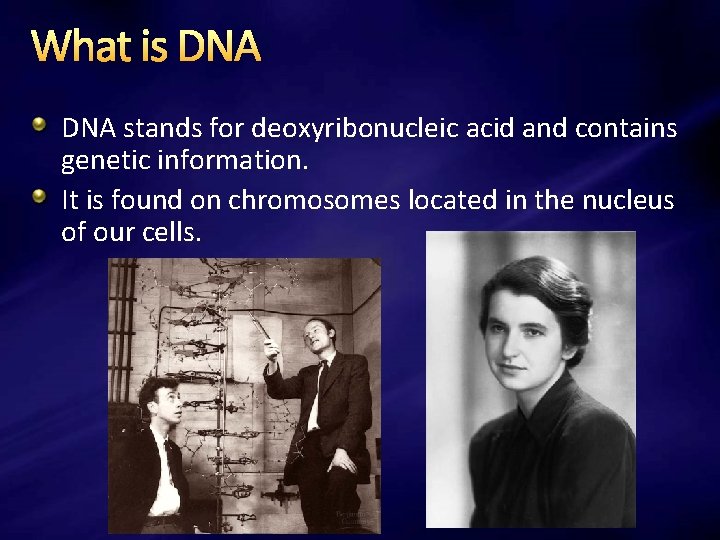 What is DNA stands for deoxyribonucleic acid and contains genetic information. It is found