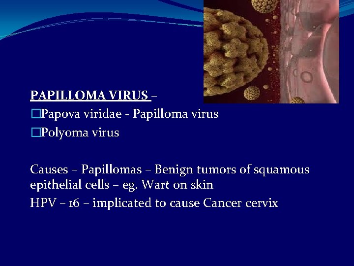 PAPILLOMA VIRUS – �Papova viridae - Papilloma virus �Polyoma virus Causes – Papillomas –