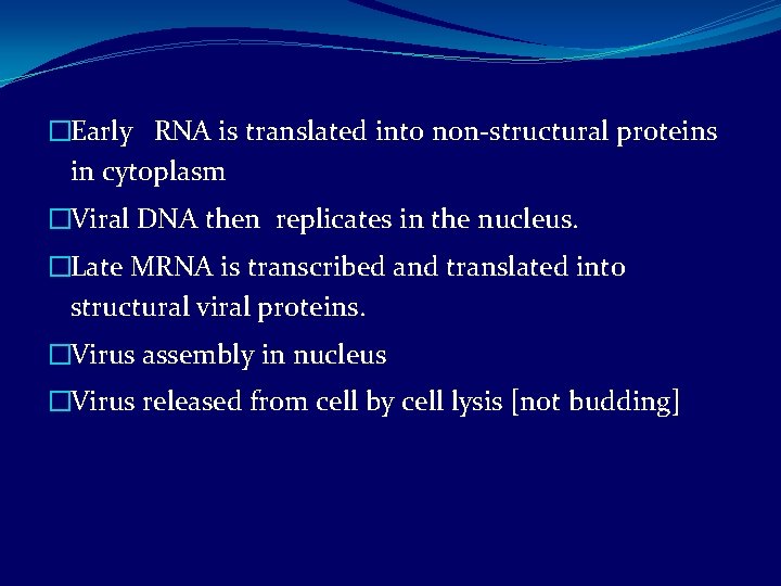 �Early RNA is translated into non-structural proteins in cytoplasm �Viral DNA then replicates in