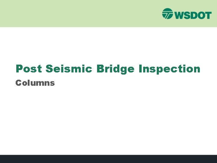 Post Seismic Bridge Inspection Columns 