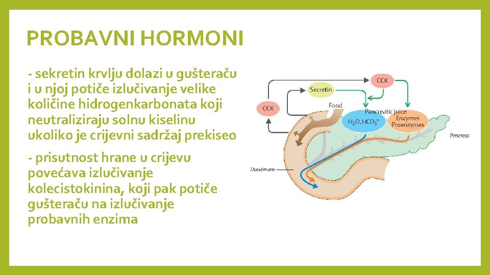 PROBAVNI HORMONI - sekretin krvlju dolazi u gušteraču i u njoj potiče izlučivanje velike