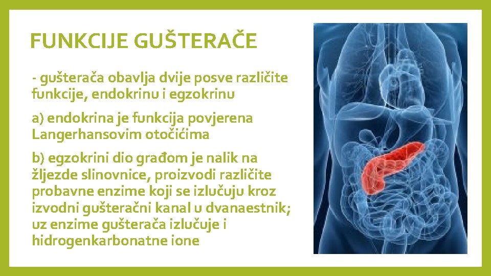 FUNKCIJE GUŠTERAČE - gušterača obavlja dvije posve različite funkcije, endokrinu i egzokrinu a) endokrina
