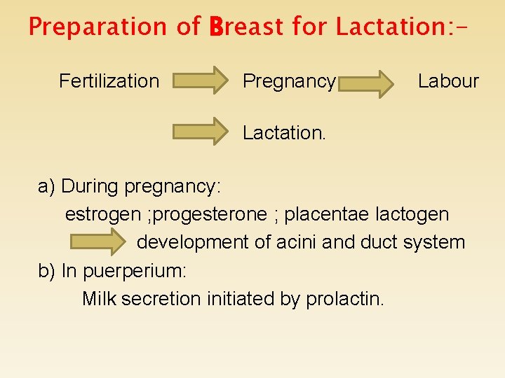 Preparation of Breast for Lactation: Fertilization Pregnancy Labour Lactation. a) During pregnancy: estrogen ;