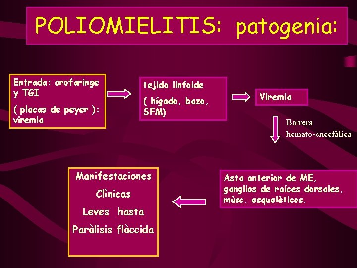 POLIOMIELITIS: patogenia: Entrada: orofaringe y TGI ( placas de peyer ): viremia tejido linfoide