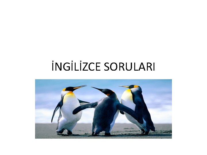 İNGİLİZCE SORULARI 