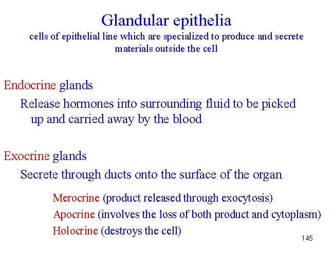 Glandular epithelia cells of epithelial line which are specialized to produce and secrete materials