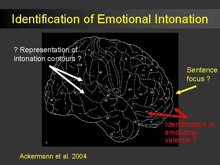 Identification of Emotional Intonation ? Representation of intonation contours ? Sentence focus ? Identification