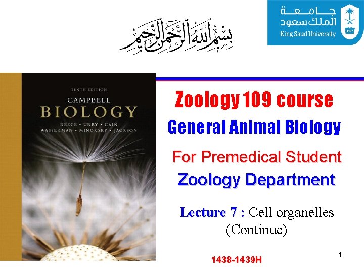 Zoology 109 course General Animal Biology For Premedical Student Zoology Department Lecture 7 :