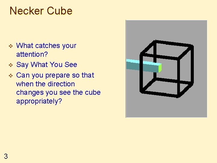 Necker Cube v v v 3 What catches your attention? Say What You See