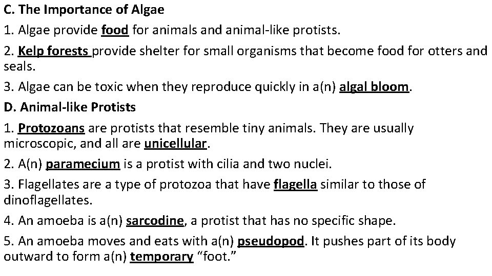 C. The Importance of Algae 1. Algae provide food for animals and animal-like protists.