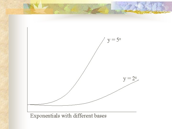 y = 5 x y = 2 x Exponentials with different bases 