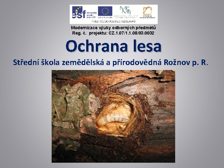 Modernizace výuky odborných předmětů Reg. č. projektu: CZ. 1. 07/1. 1. 08/03. 0032 Ochrana